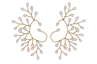 Ankita Chawla In Pearl Earcuff